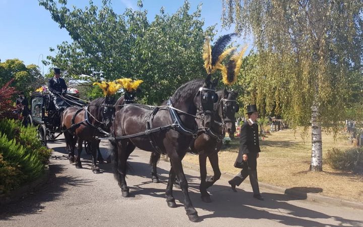 38149418_266567557455623_6977639478655451136_n