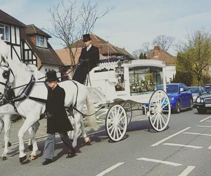 funeral with horse and carriage