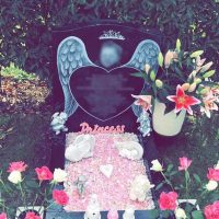 44337467_315871719191873_6381932578466693120_n